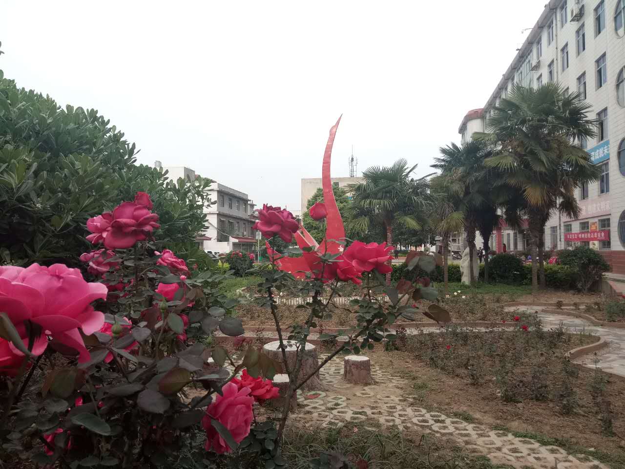 ���(y��ng)���I(y��)�W(xu��)У